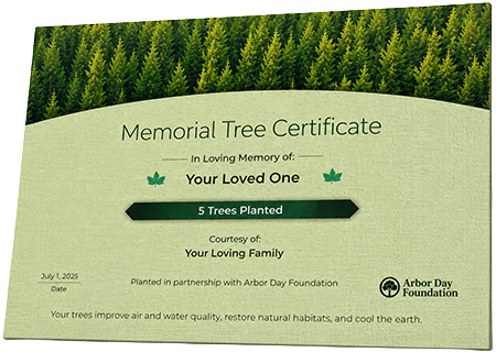 Plant Trees in Memory of Ruthie Mae Wright